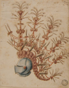 Elmo piumato